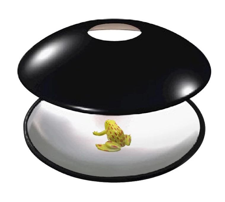 Educational science toy