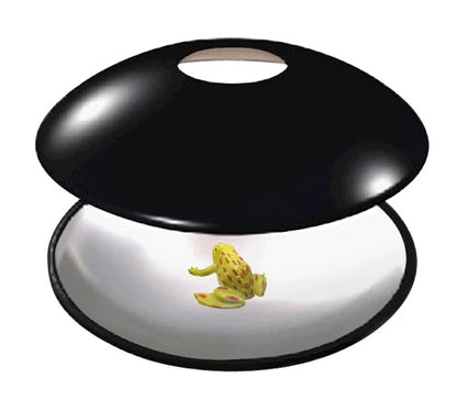 Educational science toy